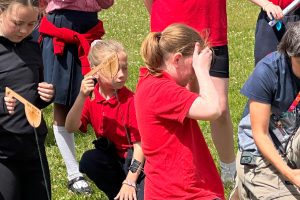 Adobe Express – file (1)